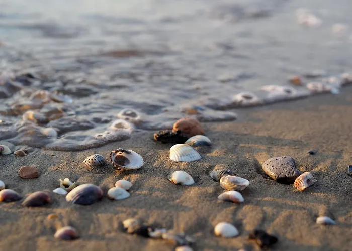 Apartman Modern Flat By The